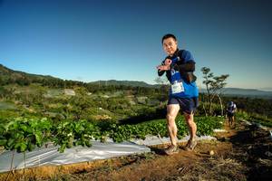 BIB: 1239
                            <button type="button" onclick="openModal(19121050)" class="btn btn-primary btn-sm float-right btn-popup" data-toggle="modal" data-target=".modal-high-quality">
                        <i class="fas fa-shopping-cart"></i> Add to Cart
                    </button>
                                            <button type="button" onclick="isThisMe(19121050, true)" class="btn btn-success btn-sm float-right btn-popup btn-isme hidden" data-toggle="tooltip" data-placement="bottom" title="นี่คือรูปของคุณใช่ไหม คลิกที่นี่เพื่อเอาเข้าอัลบั้ม">
                        <i class="fas fa-plus"></i> Add to album
                    </button>
                    <button type="button" onclick="isThisMe(19121050, false)" class="btn btn-warning btn-sm float-right btn-popup btn-isnotme hidden">
                        <i class="fas fa-ban"></i> Remove from album
                    </button>